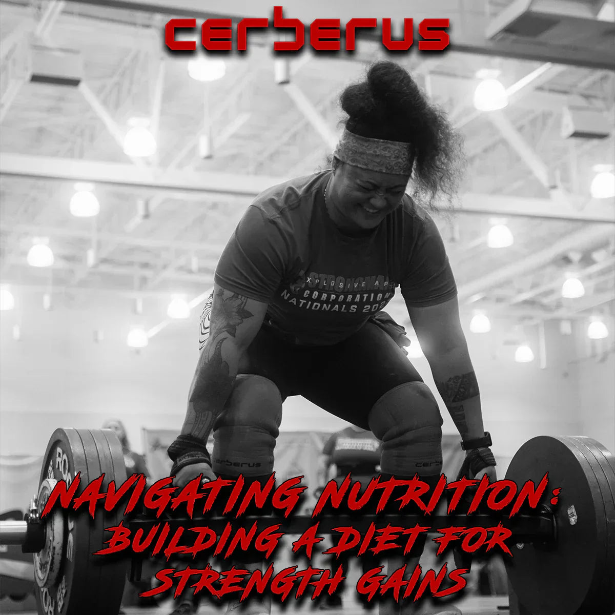 Navigating Nutrition: Building A Diet For Strength Gains