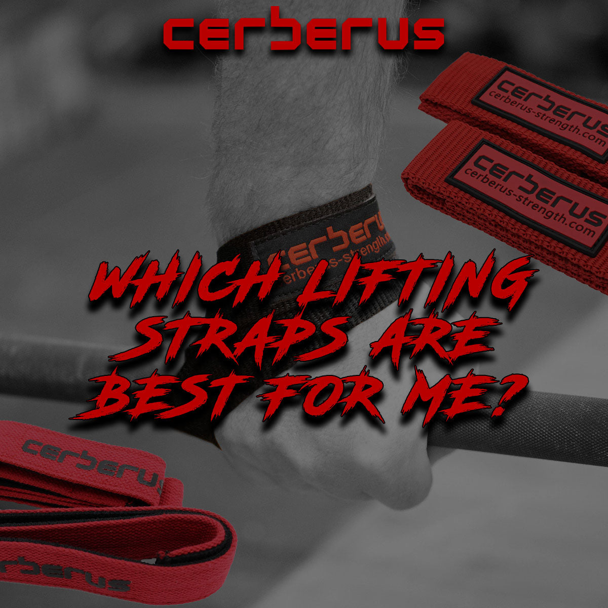 WHICH LIFTING STRAPS ARE BEST FOR ME?