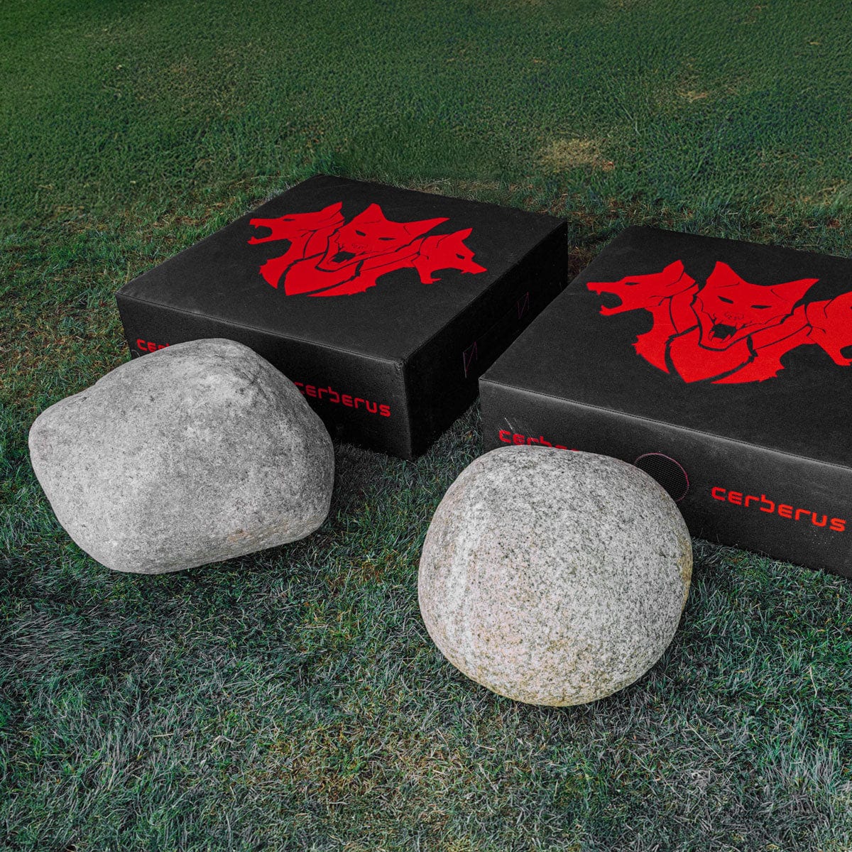 Clach na Cù Ifrinn & Clach na Cù Cogaidh