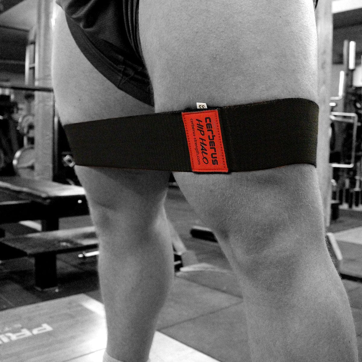 Cerberus Hip Halo - Cerberus-strength