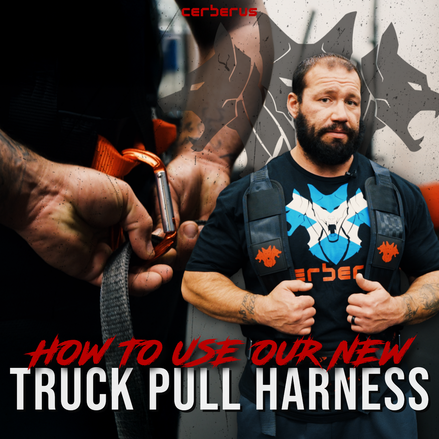 Using The Monster Truck Pull Harness!