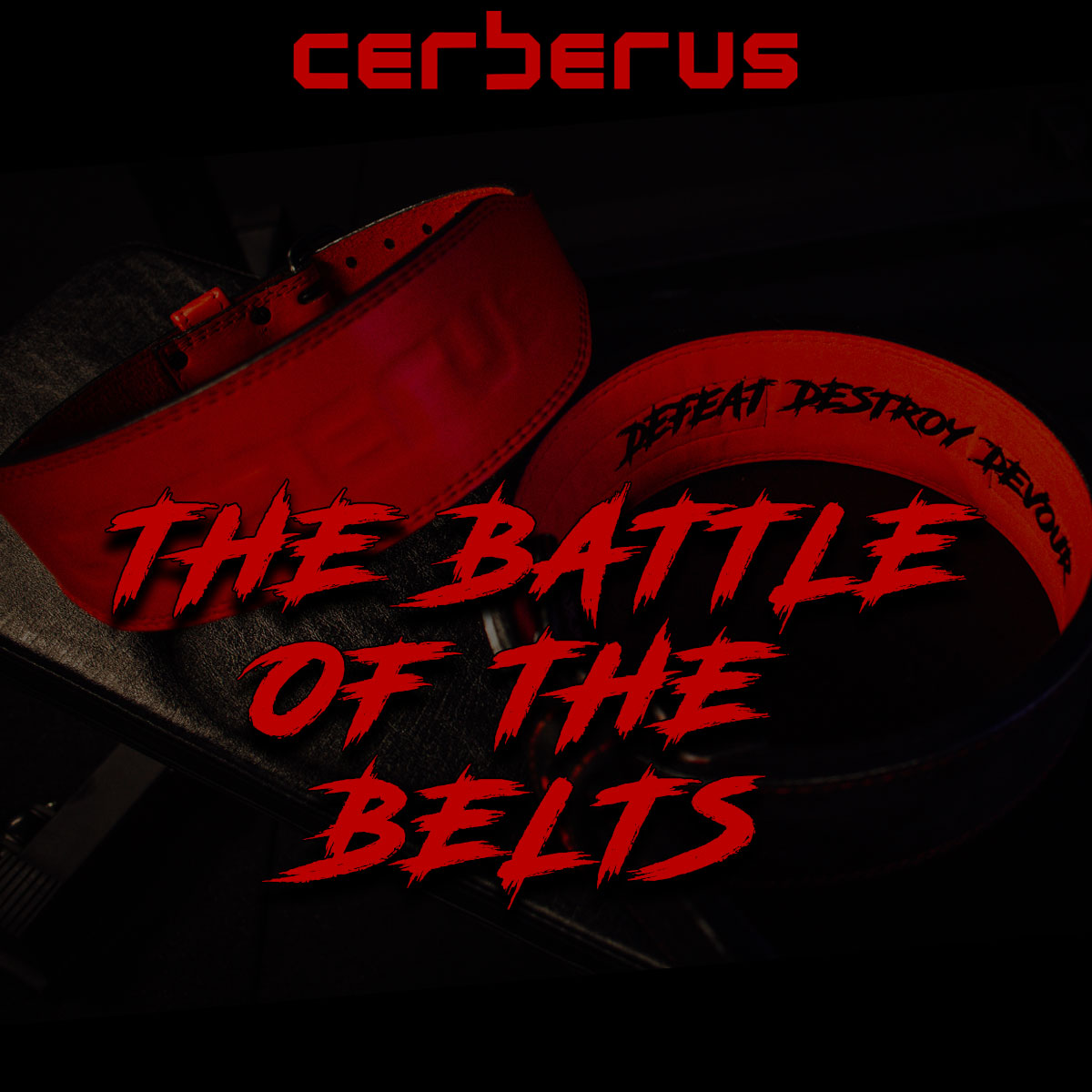 Which Belt Should I Get?