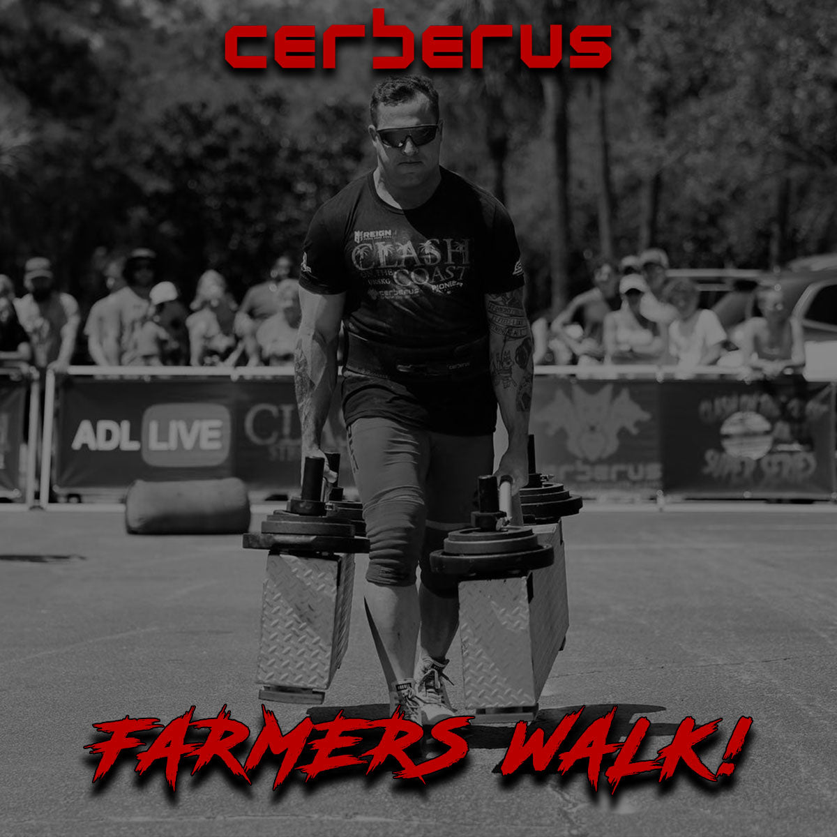 ONE OF THE MOST IMPORTANT LIFTS YOU SHOULD BE DOING!