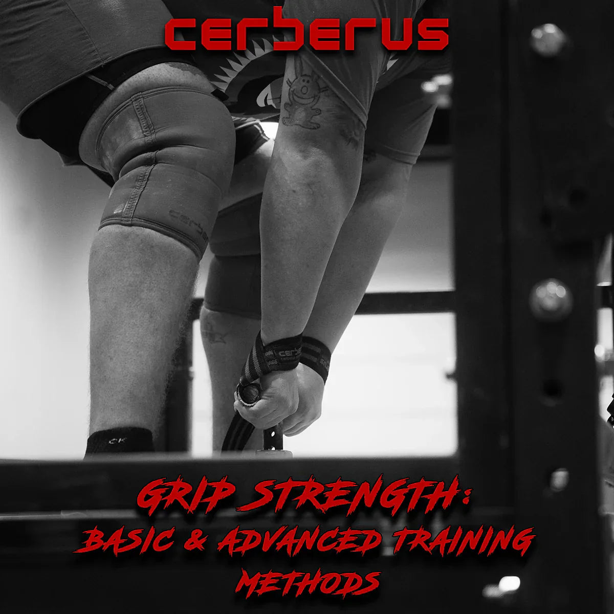 Grip Strength: Basic & Advanced Training Methods