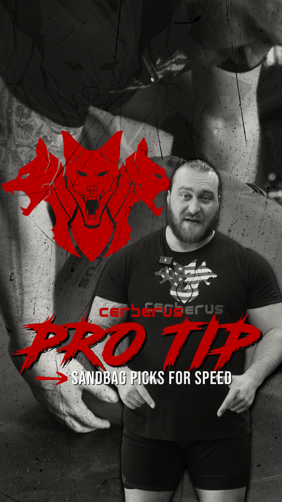 SANDBAG PICKS FOR SPEED - BE LIGHTNING FAST