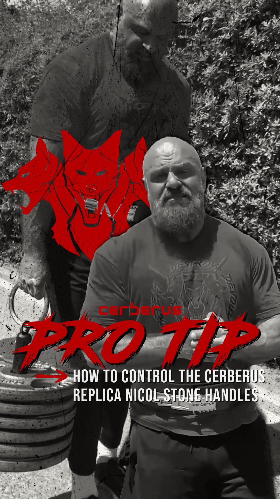 REPLICA NICOL STONE HANDLES - WALKING TIPS