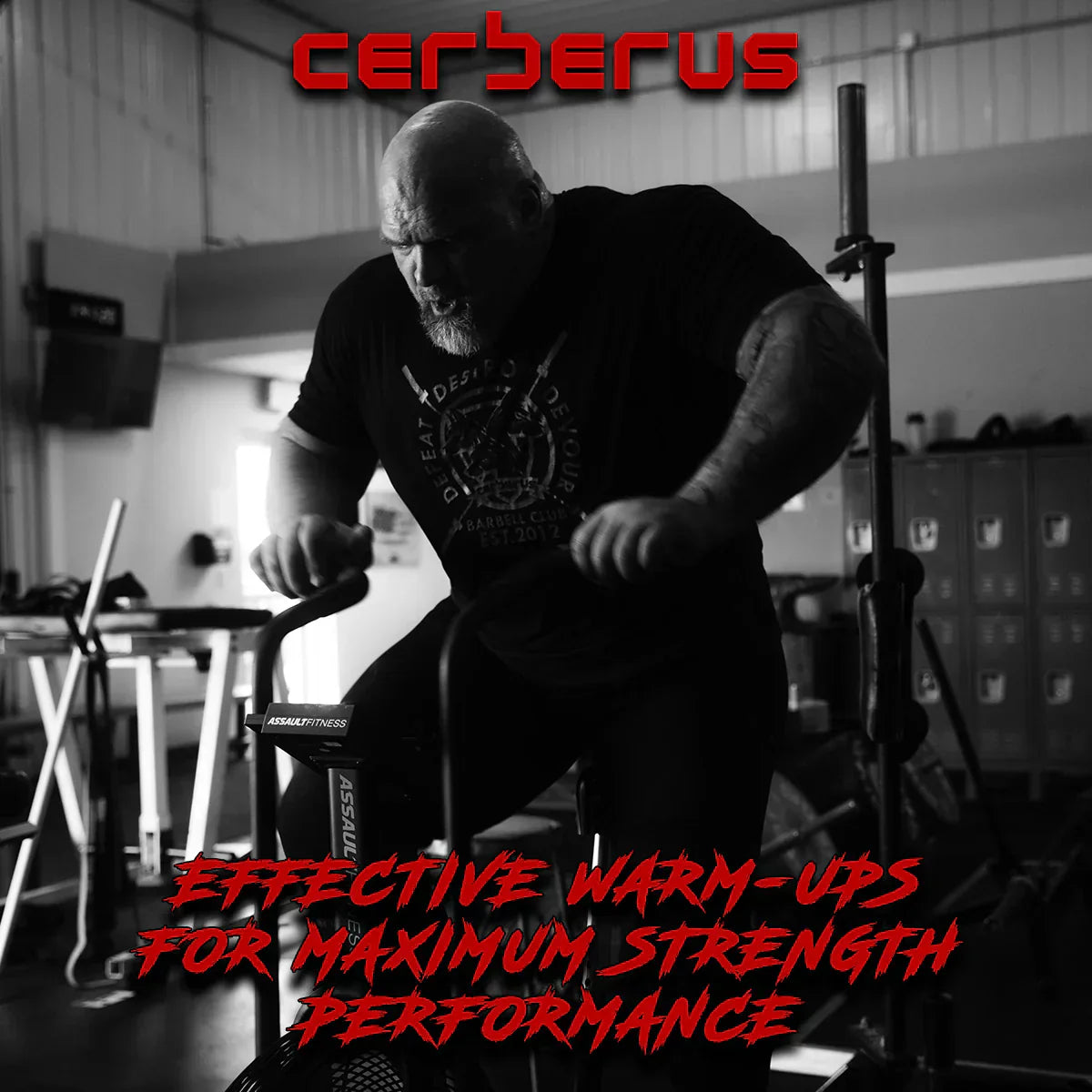 Effective Warm-Ups For Maximum Strength Performance