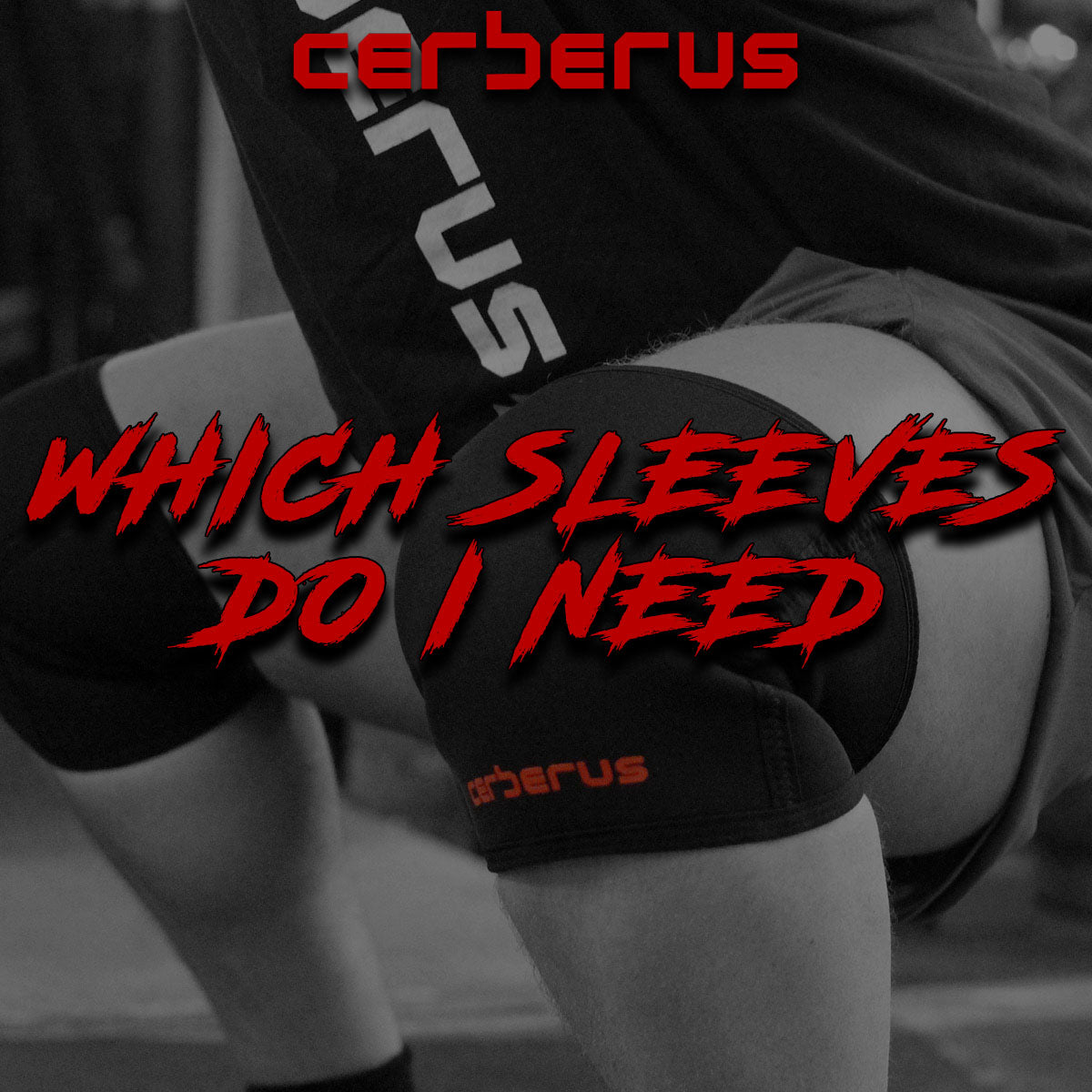 WHICH SLEEVES DO I NEED?