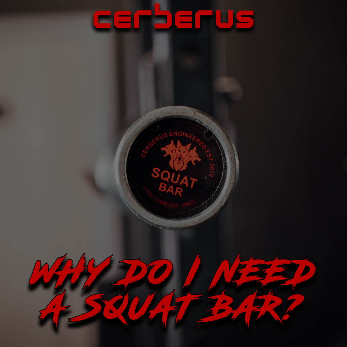 Why Do I Need a Squat Bar?
