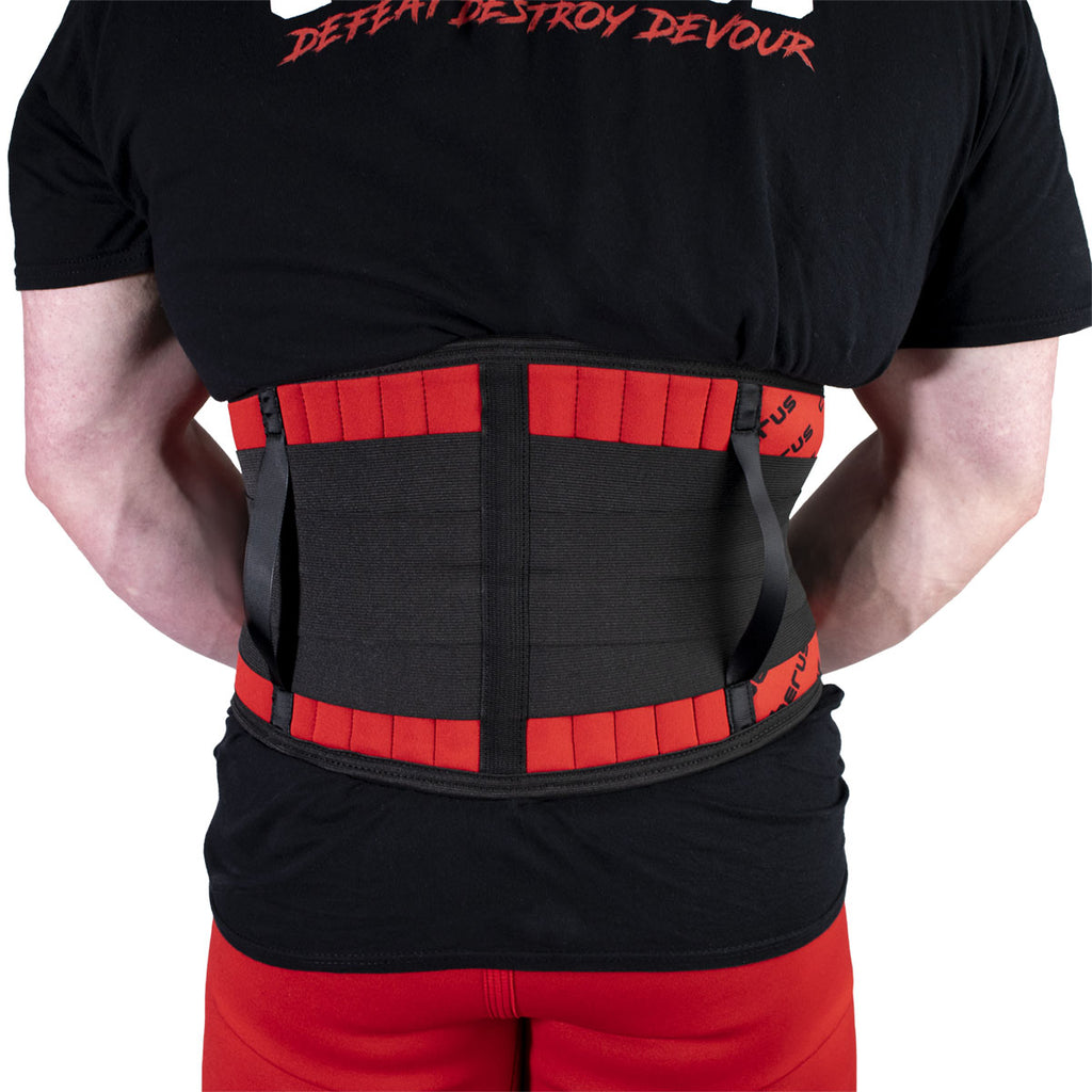 Back Protector Spare 3Points Belt - Back Protector - SHRED.
