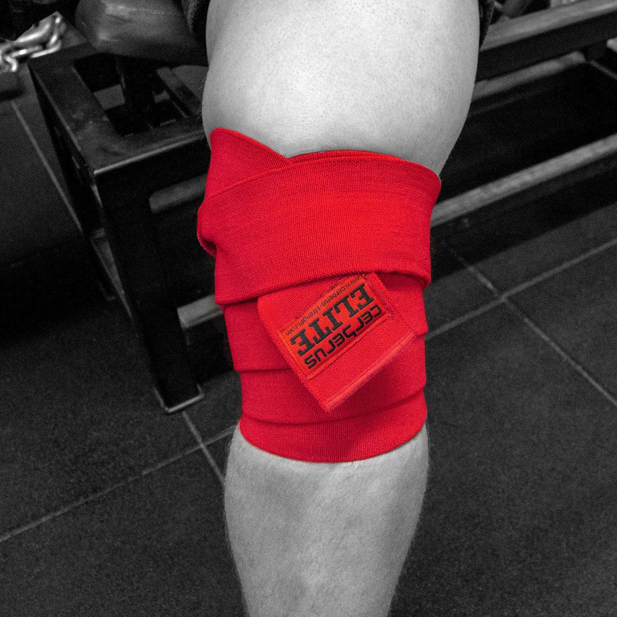 Cerberus Elite Knee Wraps - Cerberus-strength