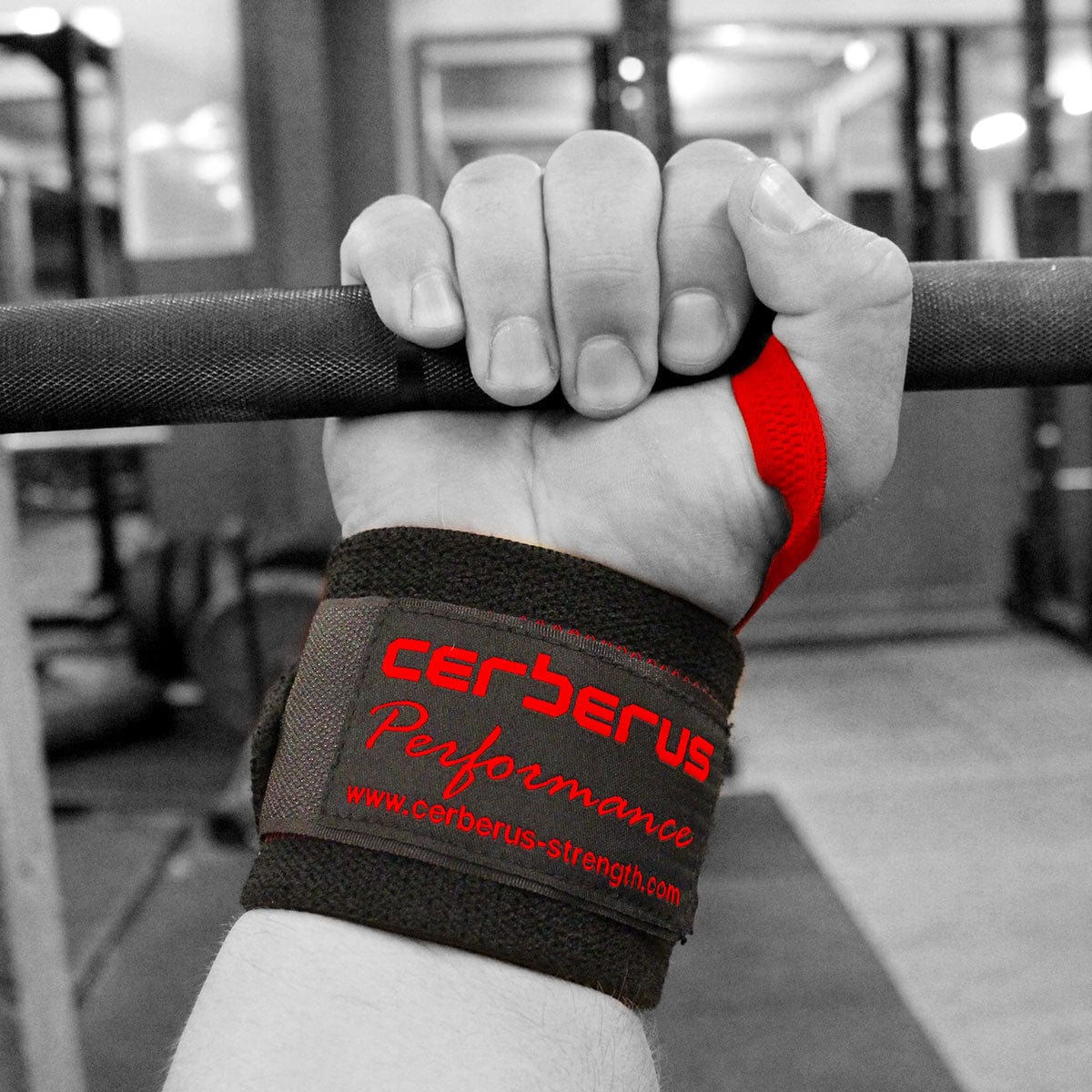 Cerberus Performance Wrist Wraps- Cerberus-strength